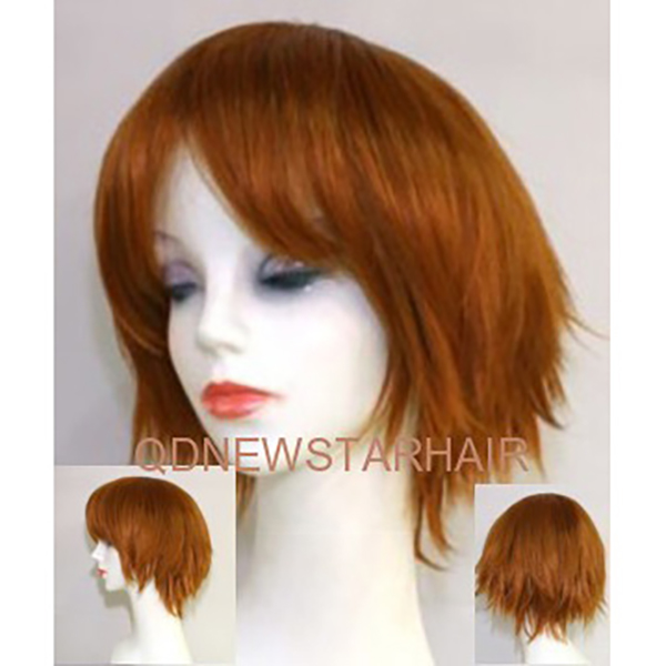 NSW-1010