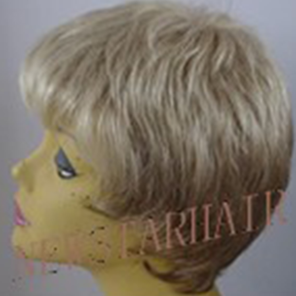 SHARI 拷贝.jpg